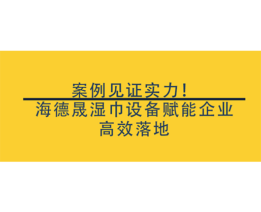 案例見證實力！海德晟濕巾設備賦能企業高效落地，搶占行業先機