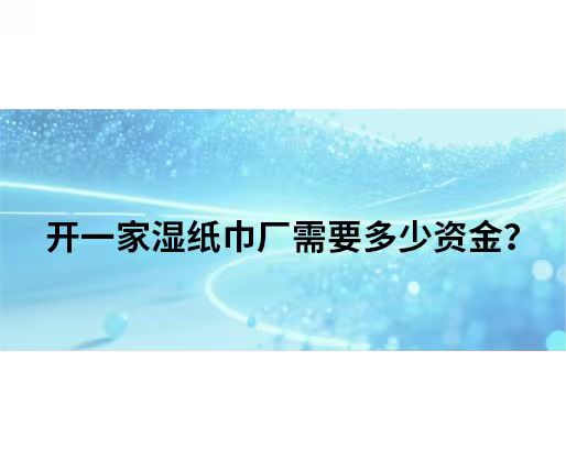 開一家濕紙巾廠需要多少資金？