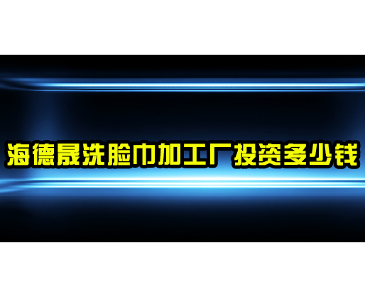 海德晟洗臉巾加工廠投資多少錢